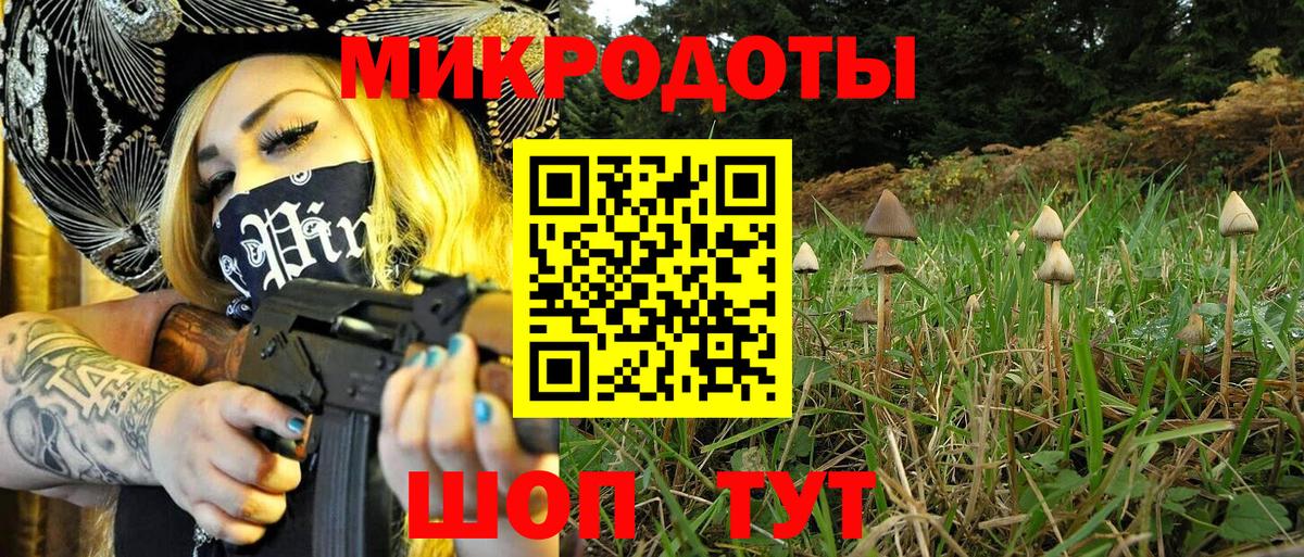 Галлюциногенные грибы Magic Shrooms Сатка