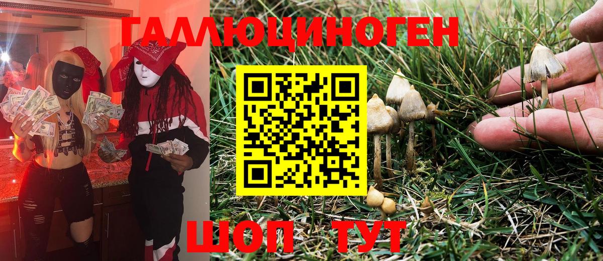 Псилоцибиновые грибы Cubensis  даркнет сайт  Сатка  Галлюциногенные грибы MAGIC MUSHROOMS  Вход с VPN 
